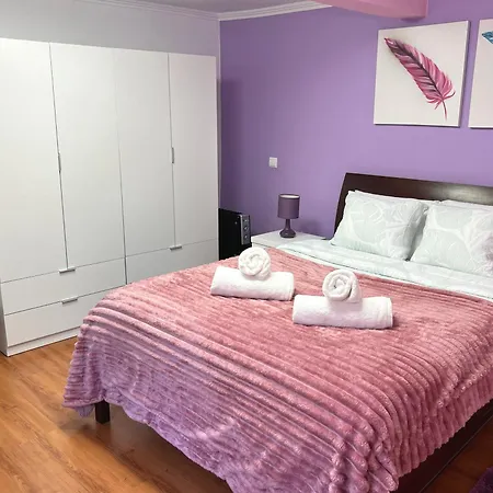 Casa Levada Explorer - Cozy Nights & Easy Meals